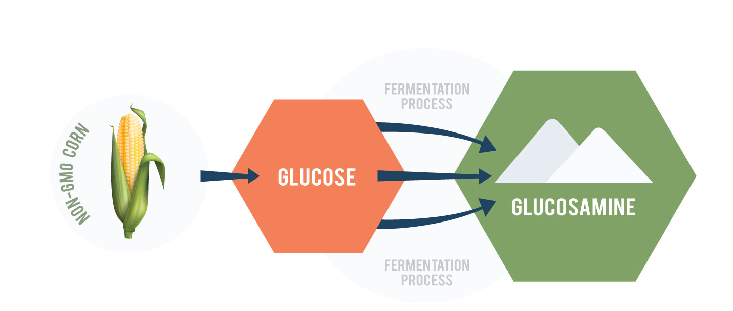 non-GMO corn converted to glucose and fermented to glucosamine